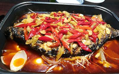  成都學烤魚哪里最正宗？