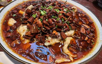 成都涼拌菜培訓如何選擇？學習涼菜技術(shù)哪里好