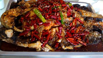 成都烤魚技術(shù)培訓(xùn)學(xué)校排名,學(xué)習(xí)烤魚技術(shù)培訓(xùn)學(xué)費(fèi)？