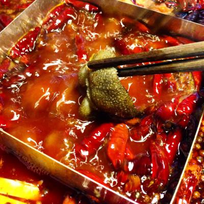 成都火鍋培訓(xùn)多少錢？ 成都火鍋培訓(xùn)多少錢？